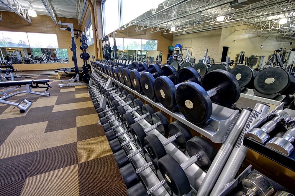 Weights in fitness center